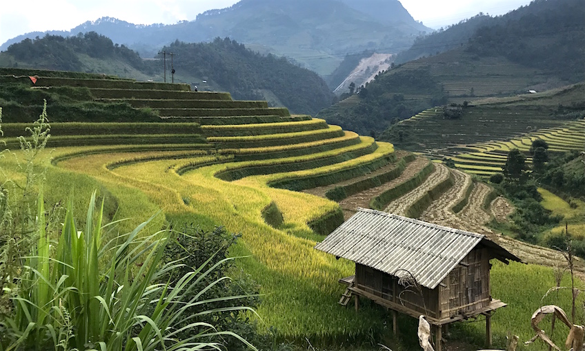 Mu Cang Chai Vietnam