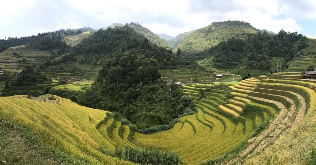 Mu Cang Chai