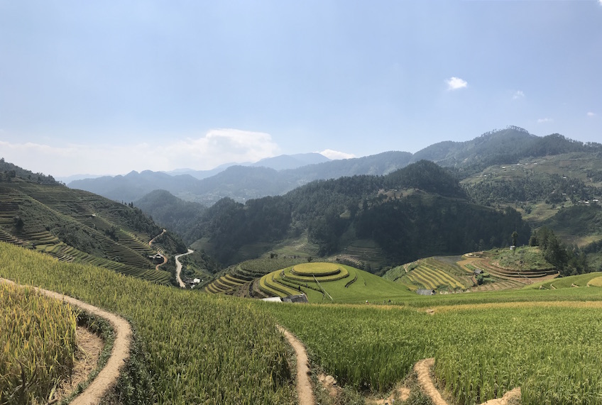 Mu Cang Chai Mam Xoi rizières