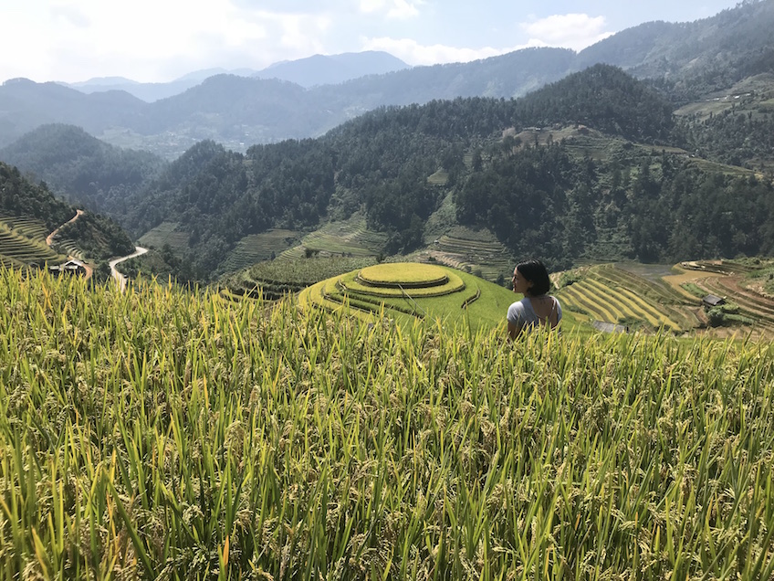 Mu Cang Chai Mam Xoi rizières