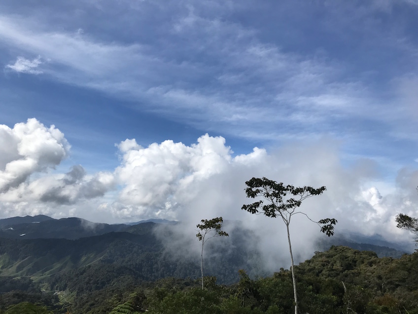 Tanah Rata Trail 10 Cameron Highlands