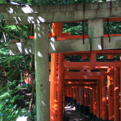 Couloir de Torii Sanctuaire Fushimi Inari Taisha Kyoto