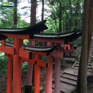 Torii Sanctuaire Fushimi Inari Taisha Kyoto