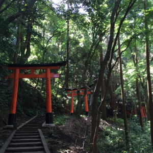 Torii Sanctuaire Fushimi Inari Taisha Kyoto