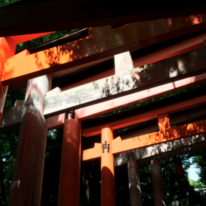 Torii Sanctuaire Fushimi Inari Taisha Kyoto