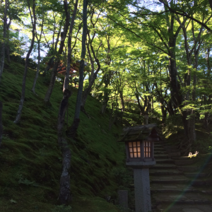 Jojakuko-in-Kyoto-Arashiyama