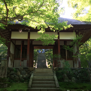 Jojakuko-in-Kyoto-Arashiyama