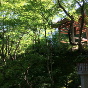Jojakuko-in-Kyoto-Arashiyama