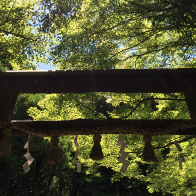 Sanctuaire-bambouseraie-Arashiyama-Kyoto