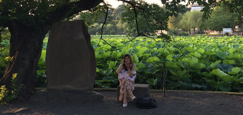 JAPON / Tokyo jour 3, la suite – impressionnante Akiba, apaisante Ueno