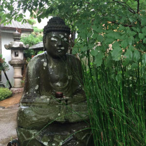 kyoto-hirashiyama-bouddhas