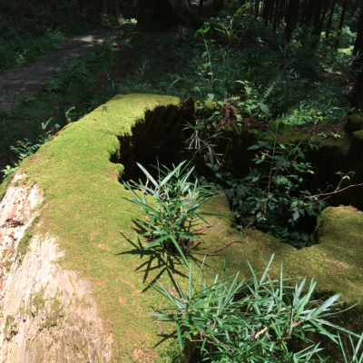 Futarasan jinja