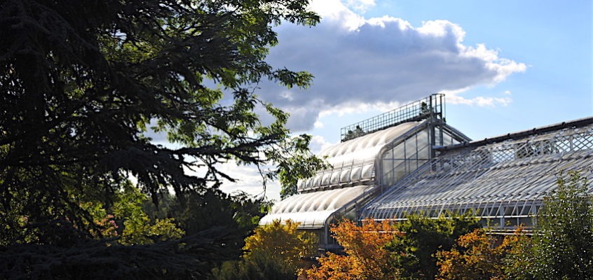 BERLIN / #Heart : Le paradis botanique de Berlin