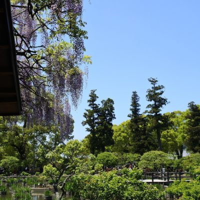 Tenman-gu Dazaifu