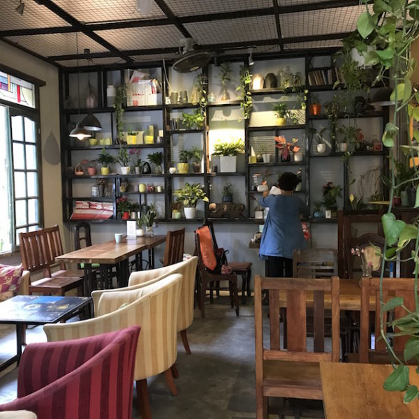 O tree cafe Hanoi