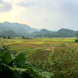 Guide Mai Chau