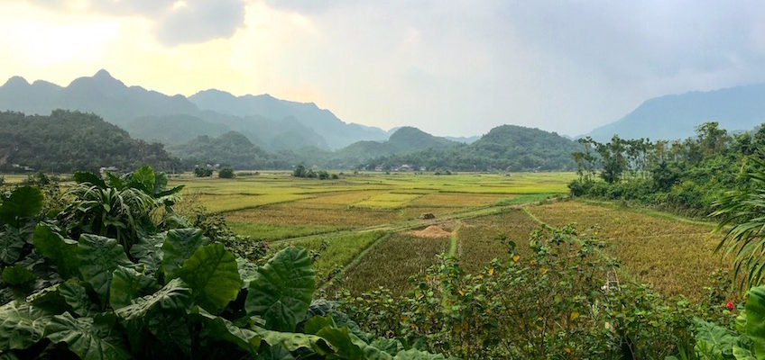 Guide Mai Chau