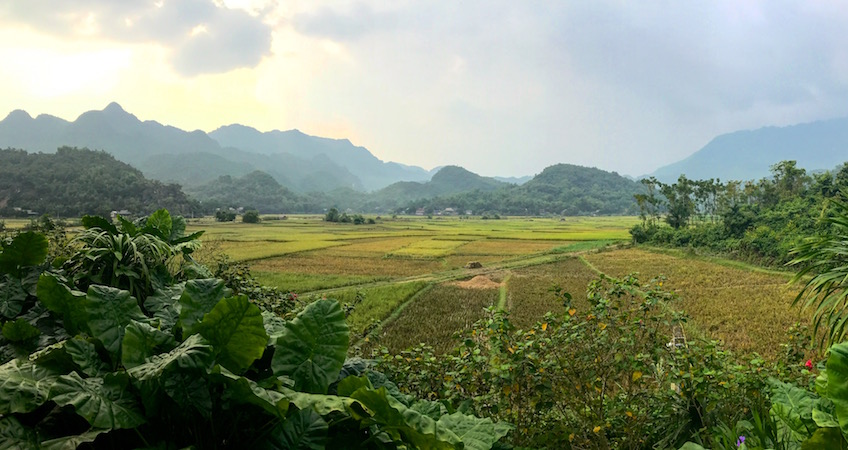 Guide Mai Chau