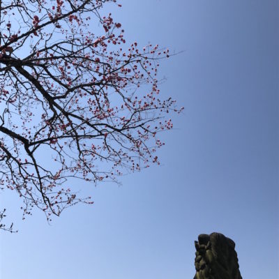 Kiyomizu Dera Kyoto