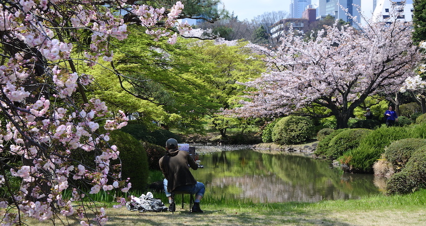 Voir les sakura à Tokyo