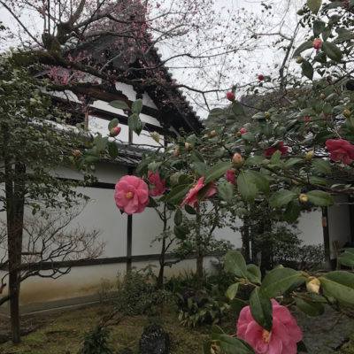 Temple Reikan Kyoto