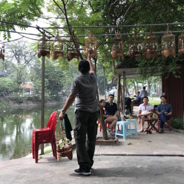 Café d'oiseaux chanteurs Hanoi