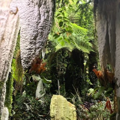 Gardens by the Bay Cloud Forest