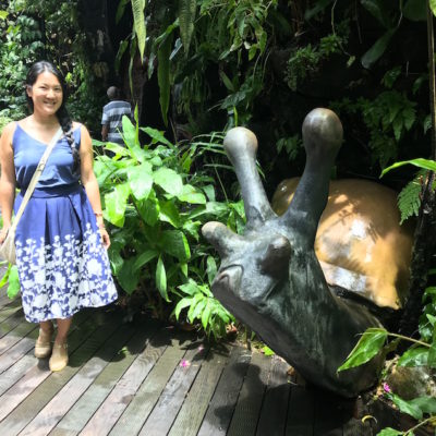 Gardens by the Bay Cloud Forest