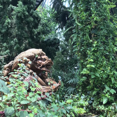 Gardens by the Bay Cloud Forest