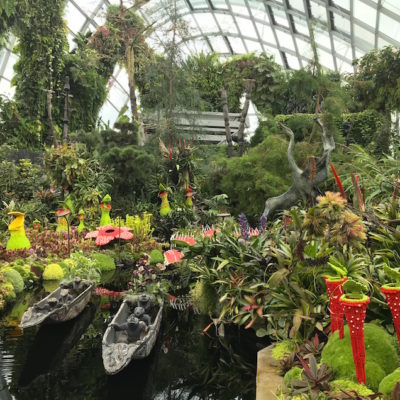 Gardens by the Bay Cloud Forest