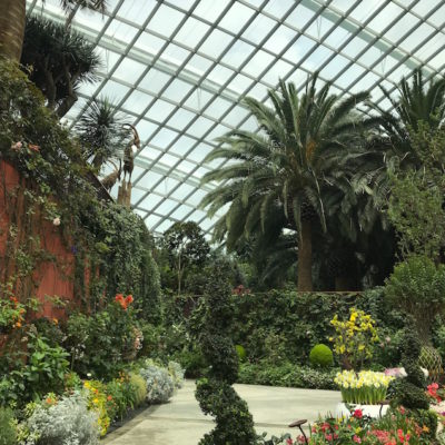 Gardens by the Bay Flower Dome