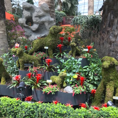 Gardens by the Bay Flower Dome