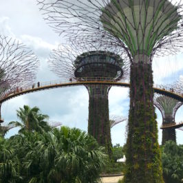 Gardens by the Bay Singapour