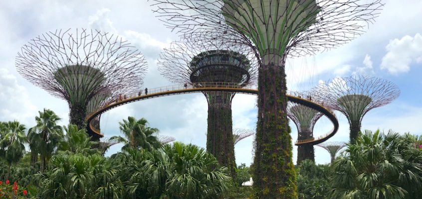 SINGAPOUR / Préparer l’expérience Gardens by the Bay