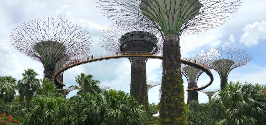 Gardens by the Bay Singapour