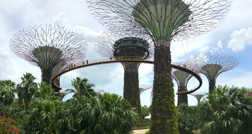 Gardens by the Bay Singapour