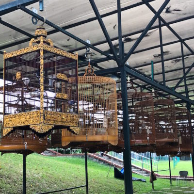 Kebun Baru birdsinging club Singapour