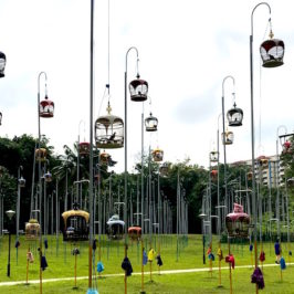 Kebun Baru Birdsinging club Singapour