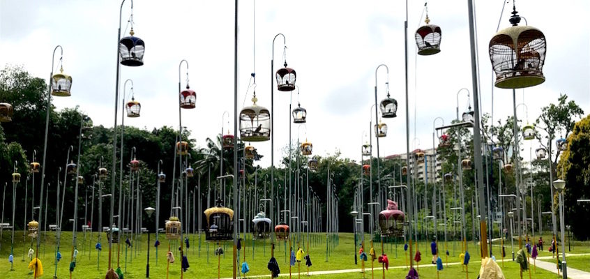 SINGAPOUR / Le fascinant Kebun Baruh Birdsinging Club