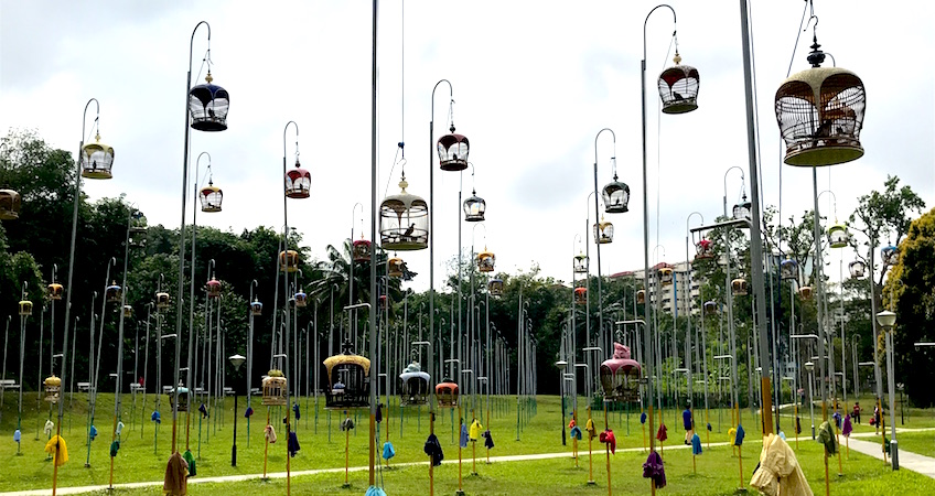 Kebun Baru Birdsinging club Singapour