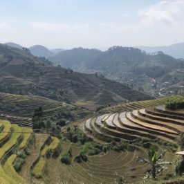 Guide Mu Cang Chai