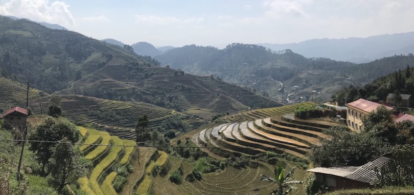 VIETNAM / Explorer les rizières dorées de Mu Cang Chai