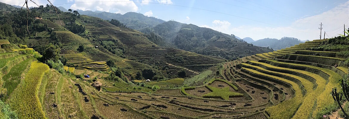 Guide Mu Cang Chai Vietnam