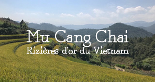 Guide Mu Cang Chai Vietnam